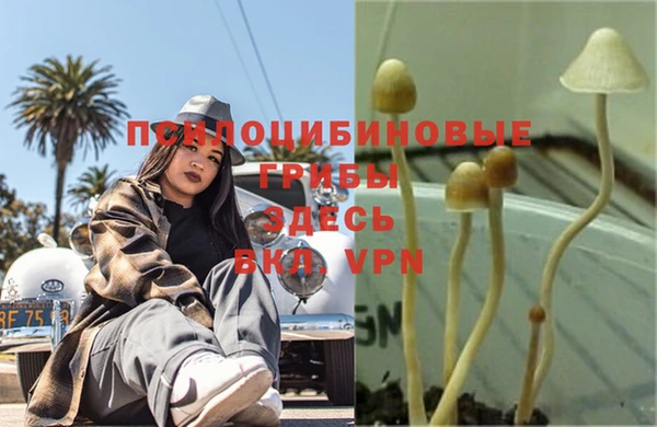 МДПВ Балахна